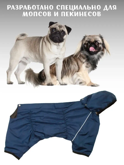Комбинезон дождевик для собак французский бульдог