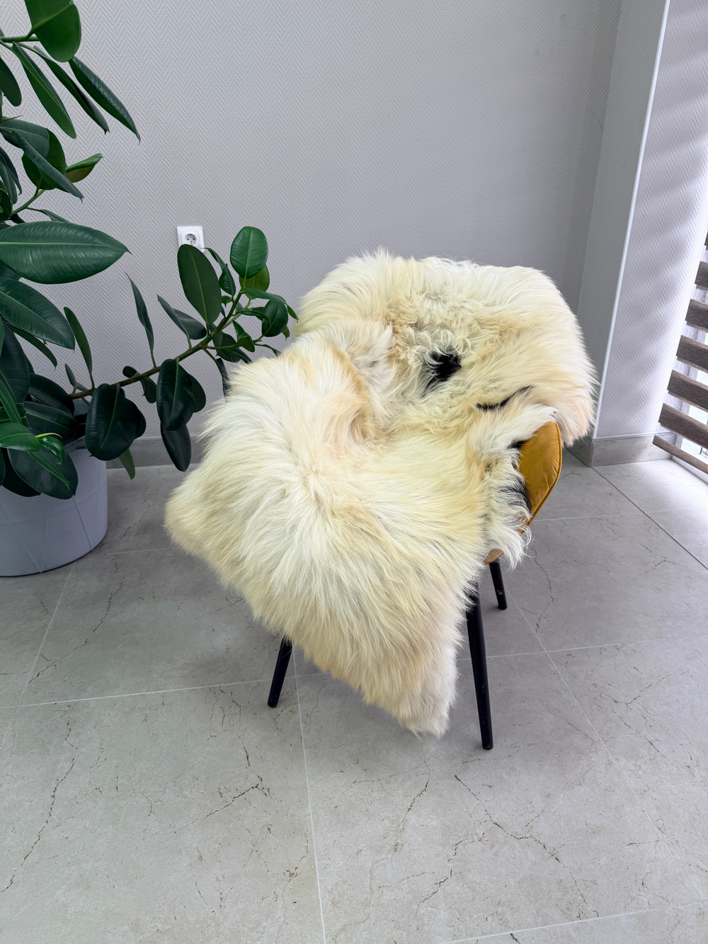 Шкура коврик меховой прикроватный овчина, 120х65 см.