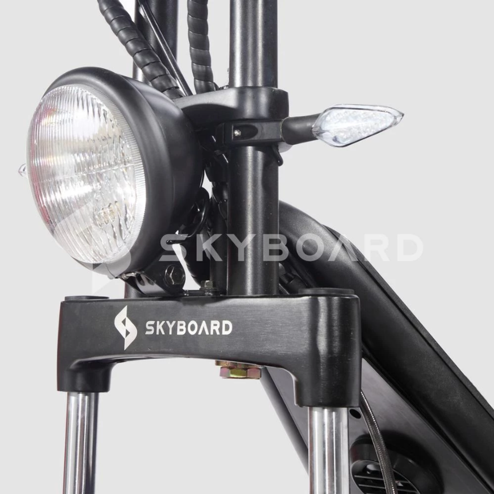 Электроскутер CityCoco SKYBOARD Trike BR80 Черный