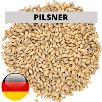 Солод ячменный светлый (Pilsner), 1 кг. BestMalz