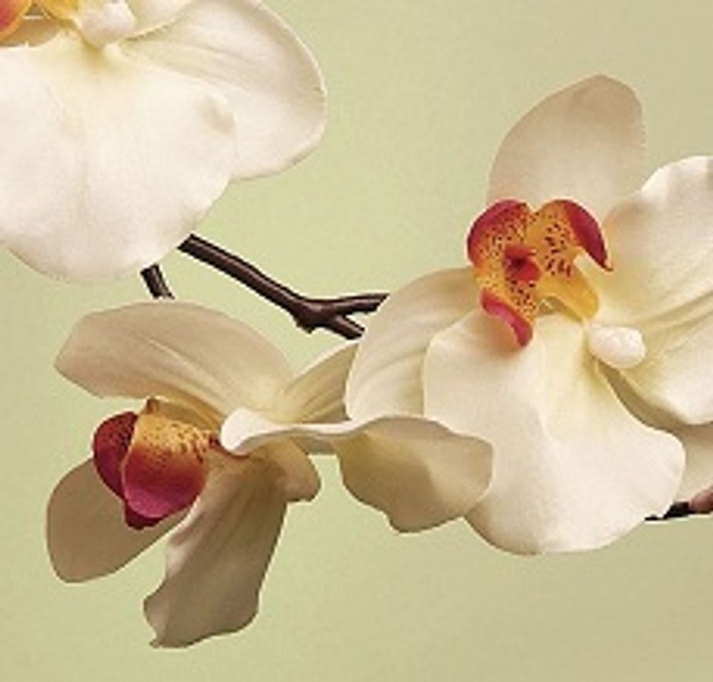 Стеновая панель 2800*610*6 (SP-102 глянец)