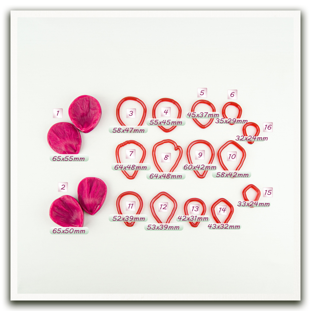 Лепестки анемона