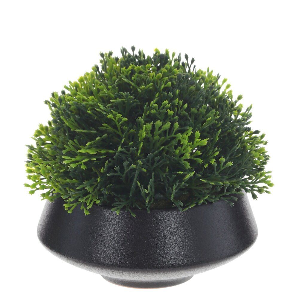 GAEM Цветочная композиция "Самшит", L12 W12 H11 см