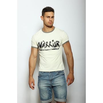 Мужская футболка бежевая с принтом Scandaloso Воин 050340m-EP