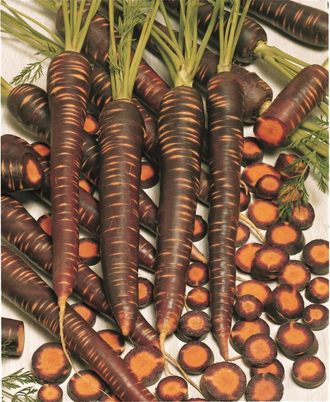 ПЁРПЛ ХЕЙЗ F1 семена моркови цветной (Bejo | Alexagro) – фото 3