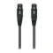 Wireworld Equinox 8 2XLR - 2XLR 5m