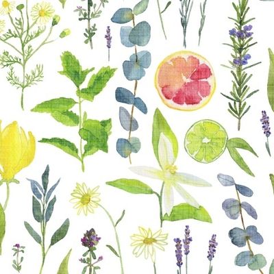 Ароматерапия на белом фоне