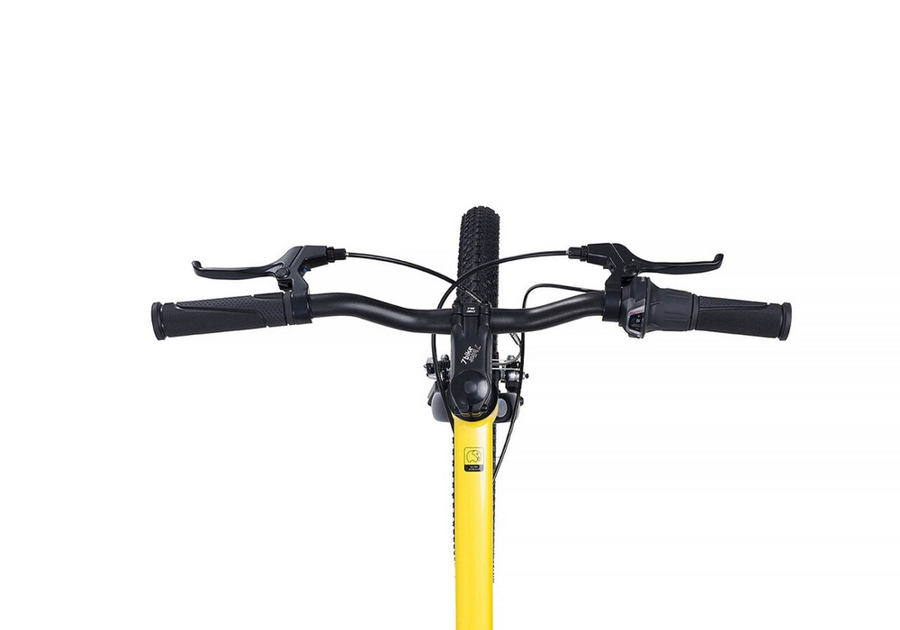 Maxiscoo "7BIKE" 20'' M200 (2024)