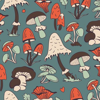 Грибной Лес