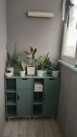 Эко Краска DECOR для мебели, декора и деревянных поверхностей, цвет Сеньорита петрушка