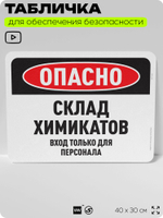 Табличка для обеспечения безопасности "Опасно, склад химикатов", для офиса, по охране труда для предприятия, организаций, 40х30 см, Silver Plane x Айдентика Технолоджи