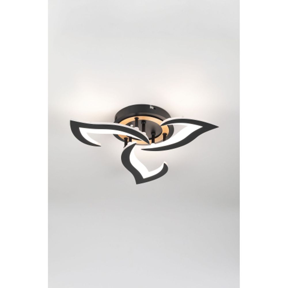 Светильник потолочный светодиодный Rivoli Cassandra 6194-703 LED 3000-6250К 42 Вт с пультом | Интерьерные светодиодные светильники