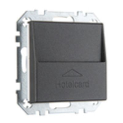 Карточный выключатель для гостиниц LIREGUS EPSILON IVKJ2.10-204-01.E/J антрацит