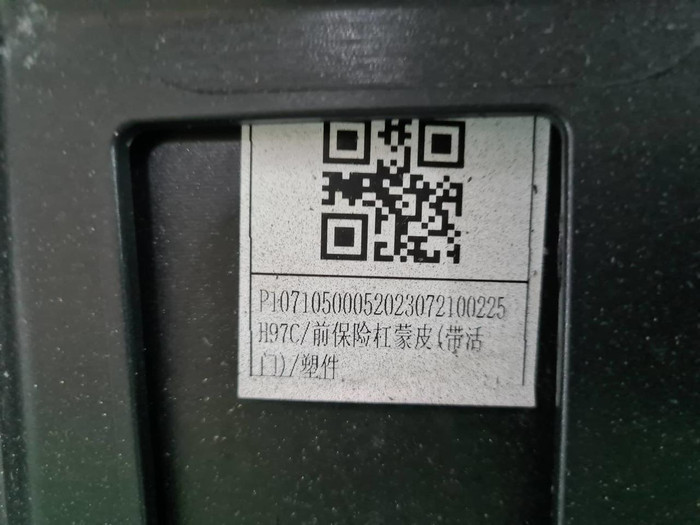 Бампер передний Voyah Free (2023-н.в.) (В сборе)