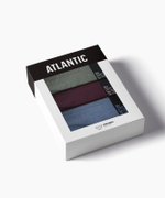 Мужские трусы слипы спорт Atlantic, набор 3 шт., хлопок, зеленый меланж + винный меланж + голубой меланж, 3MP-209