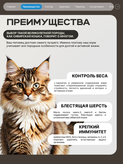 Корм сухой для стерилизованных кошек породы Сибирская, с лососем, 2 кг, QUATTRO