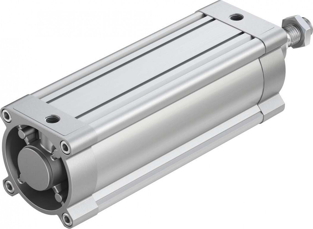 DSBC-125-250-PPSA-N3 Стандартный цилиндр