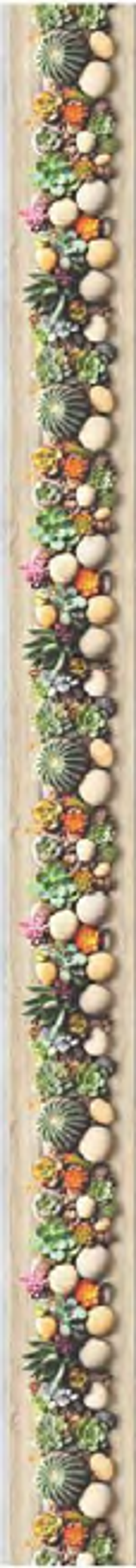 Панель ПВХ фотопечать 170 Кактусы микс 2700х250 мм