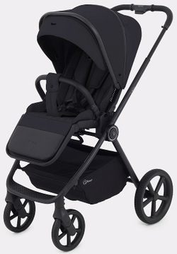 Детская коляска Rant Teo 2 в 1 Black
