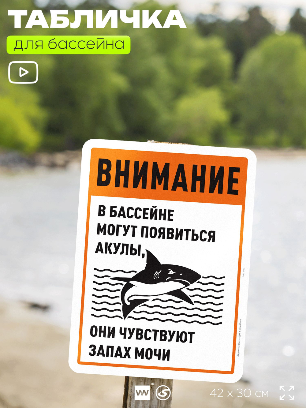 Табличка прикольная для бассейна "Внимание, в бассейне могут появиться акулы", на пляж, для общественной и частной зоны отдыха, информационная, 40х30 см, Silver Plane x Айдентика Технолоджи