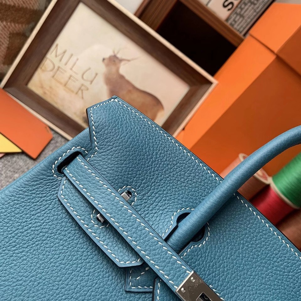 Hermes Birkin 25
