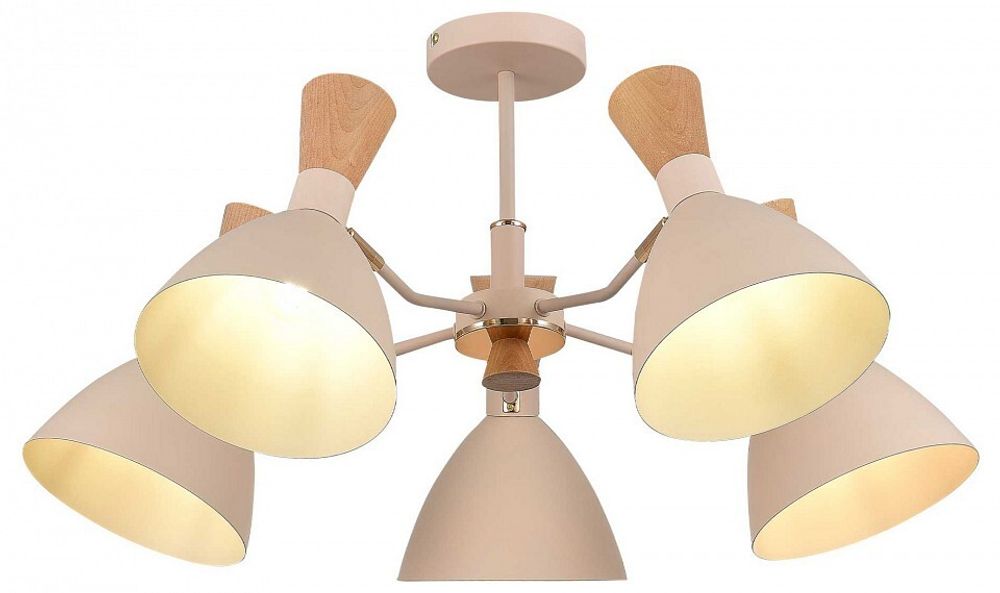 Люстра на штанге EVOLUCE VISTA SLE1256-502-05