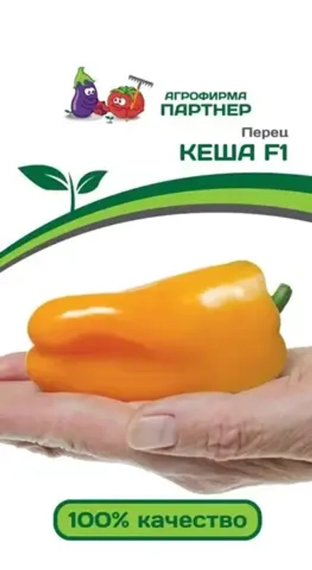 Перец Кеша