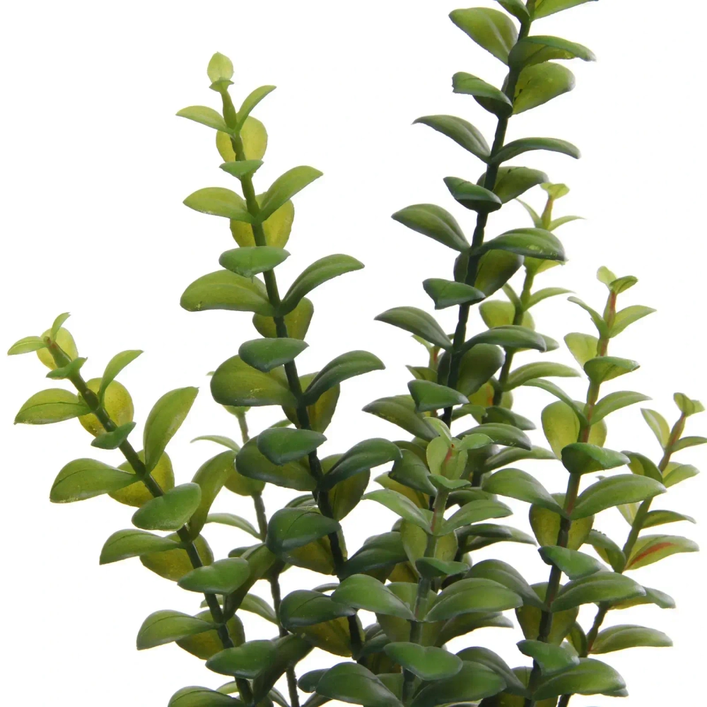 Цветок искусственный в горшке «Крассула» 35см