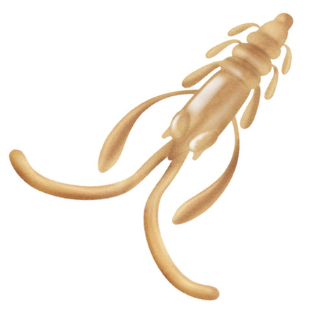 Приманка ZUB-NIMFA 35мм(1,4")-12шт, (цвет 303) телесный