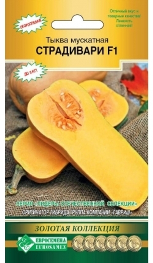 Тыква мускатная Страдивари F1