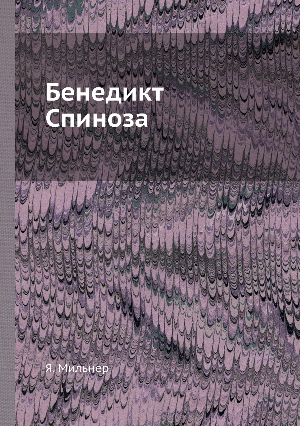 Бенедикт Спиноза | Я. Мильнер