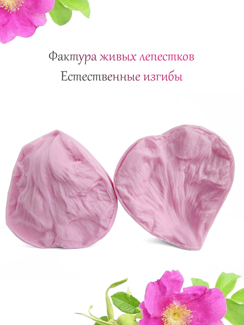 Шиповник морщинистый