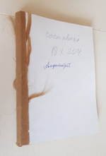 "В моих скитаньях". А.Амфитеатров. 1903г. - антикварная книга