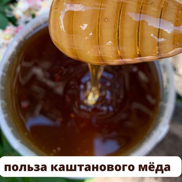 ПОЛЬЗА КАШТАНОВОГО МЁДА