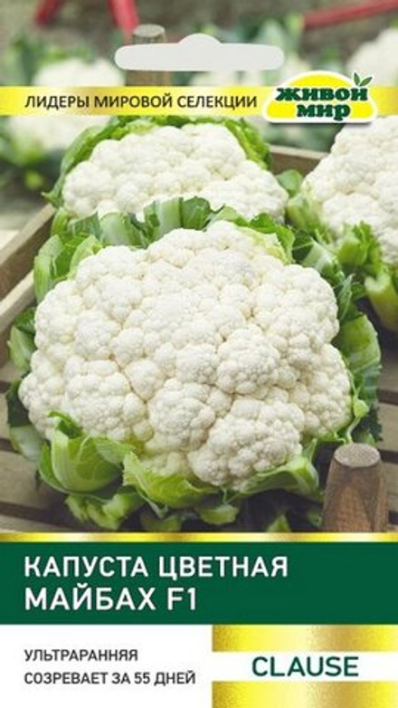 Капуста цветная "ЖМ. Maйбax F1" 10шт, Франция.