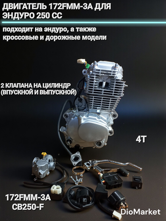 Двигатель для эндуро 250 кубов 172FMM-3A 2х-клапанный, грм цепь