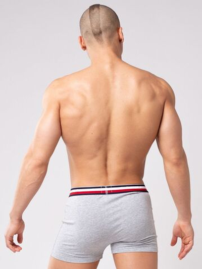 Мужские боксеры из мягкого хлопкового трикотажа с резинкой в полоску (Размер: M) (Цвет: серый)