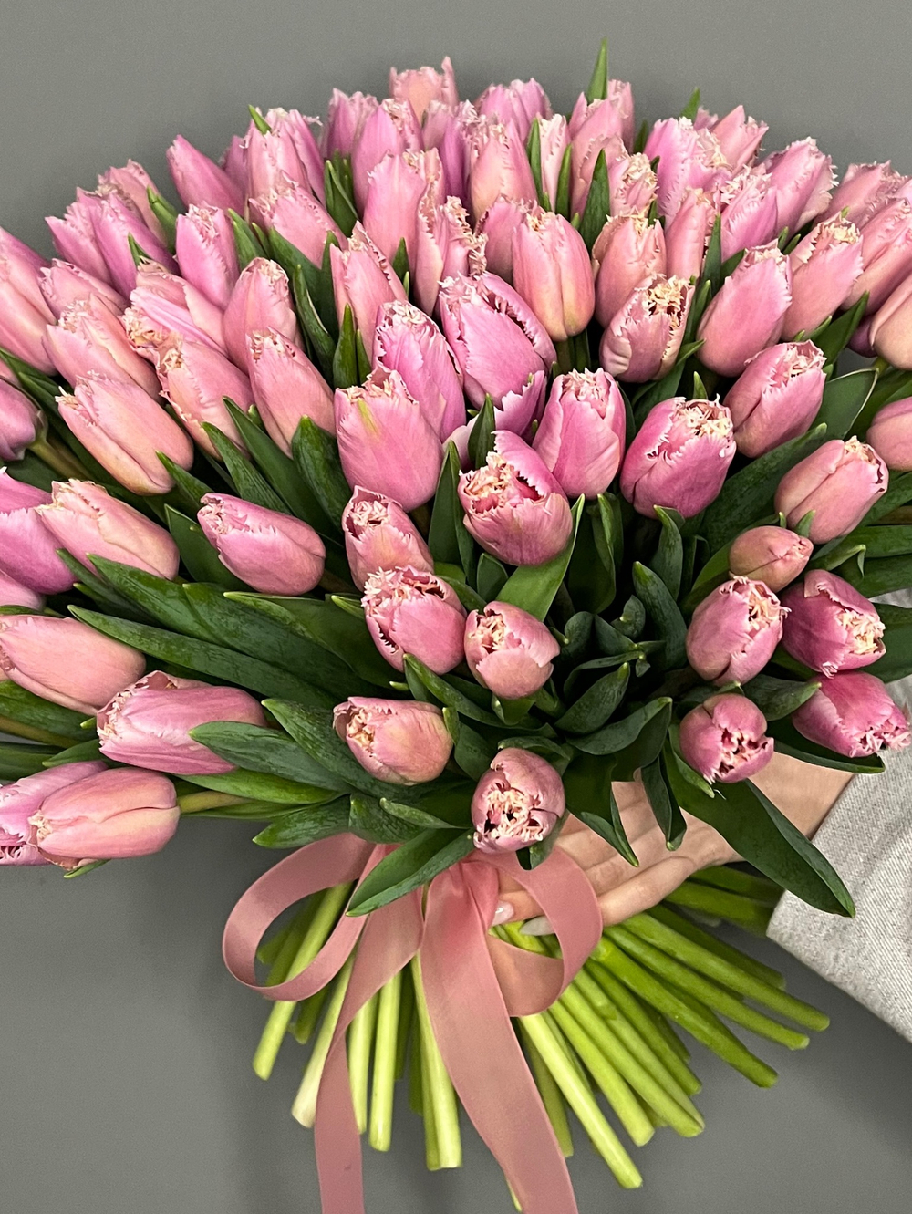 Махровые тюльпаны 55 штук