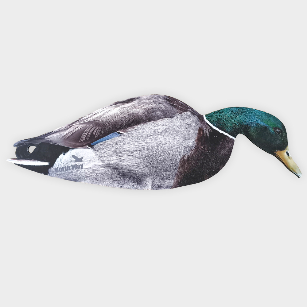 Кряква полевая (плоская) 12 шт.