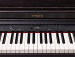 Roland RP701-DR