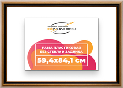 Рама 59,4x84,1 для картин и фотографий
