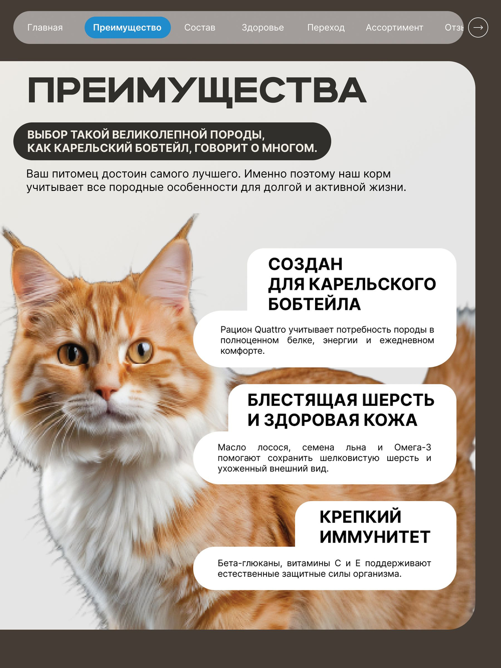 Корм сухой для взрослых кошек породы Карельский бобтейл, с лососем, 5 кг, QUATTRO