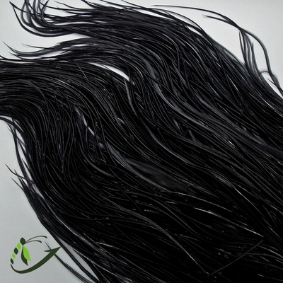 Перо из седла петуха, цвет Black (крашеный)