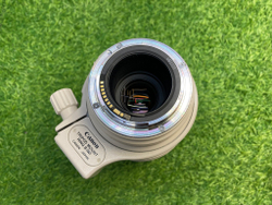 Canon EF 100-400mm 4.5-5.6L IS USM Покупка/Продажа