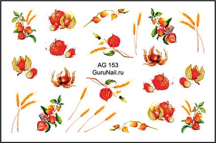 Gurunail Слайдер-дизайн аэрография 153 Физалис