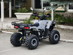 Lion 125 RR серый
