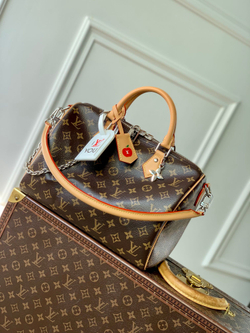 Louis Vuitton Speedy Soft 30 Crafty