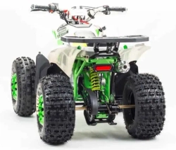 Квадроцикл Motoland 125 COYOTE