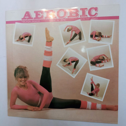 Винтажная виниловая пластинка Neoton Familia Aerobic (Hungary 1983)