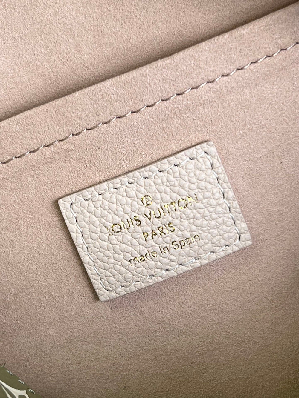Louis Vuitton Speedy 20